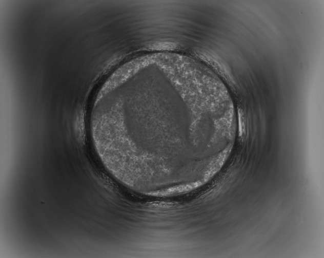 X0000092270300200710121345