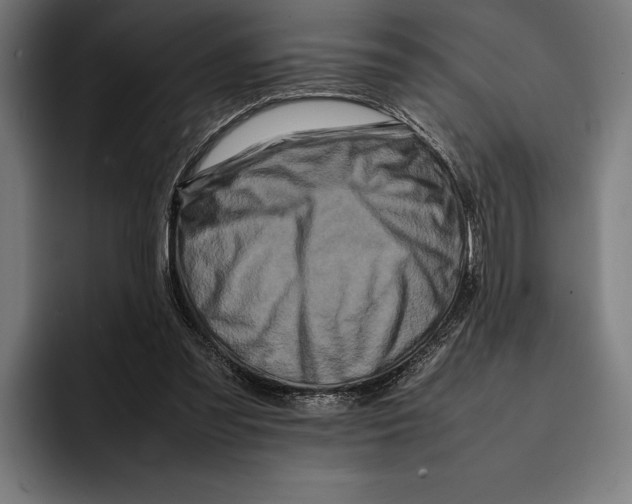 X0000092270301200710121345