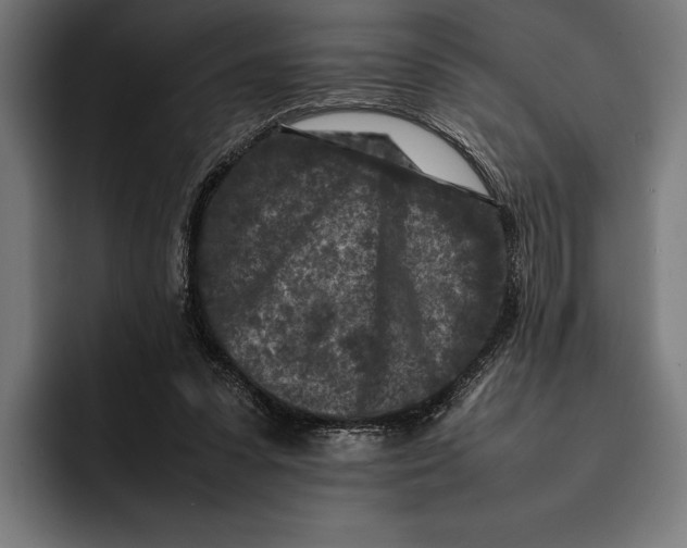 X0000092270303200710121345