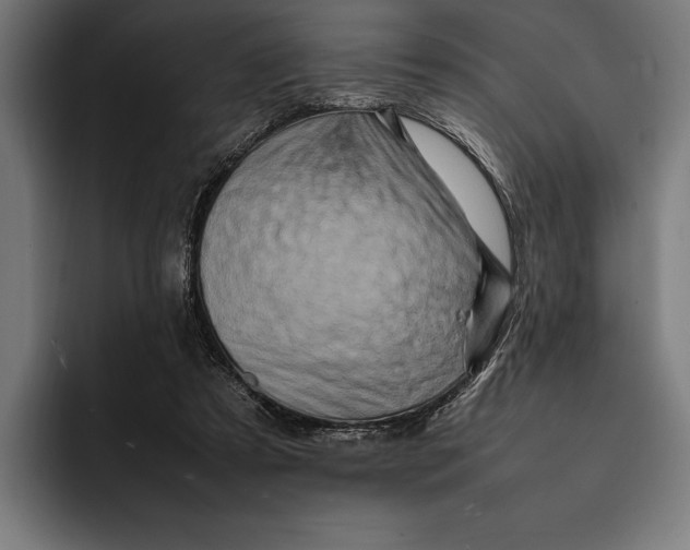 X0000092270305200710121345