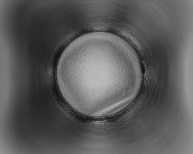 X0000092270306200710121345