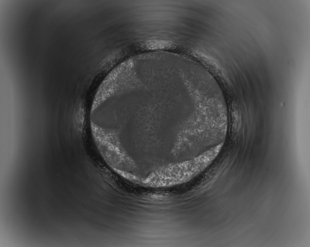 X0000092270308200710121345