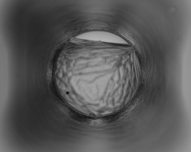 X0000092270309200710121345