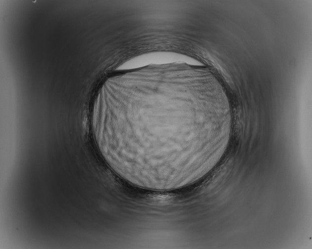 X0000092270313200710121345