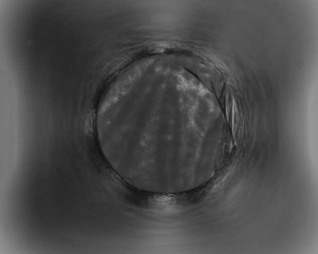 X0000092270325200710121345