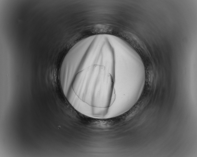 X0000092270326200710121345