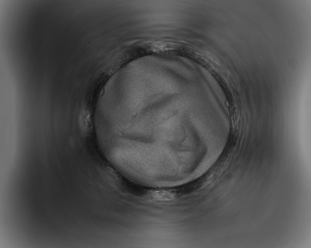 X0000092270327200710121345
