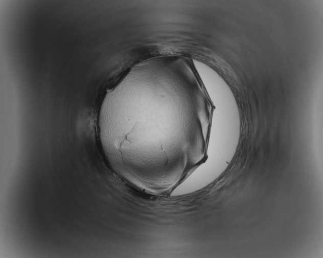 X0000092270329200710121345