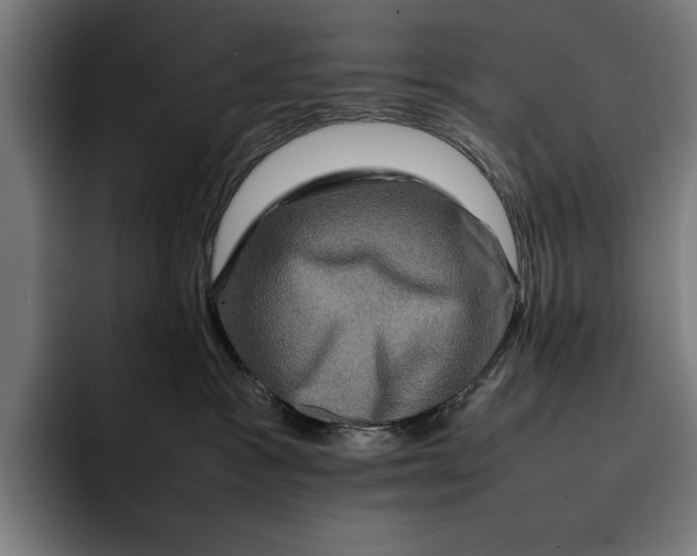 X0000092270333200710121345