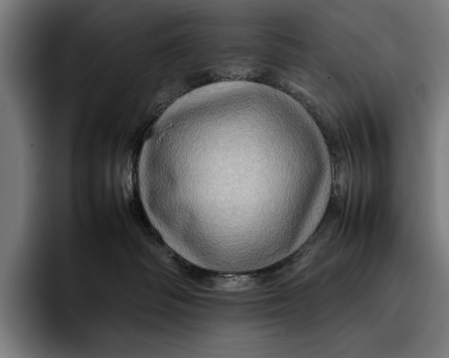 X0000092270334200710121345