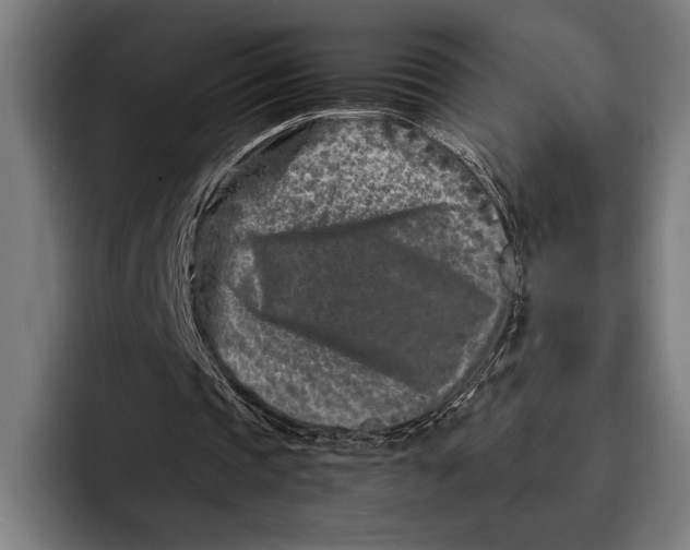 X0000092270337200710121344