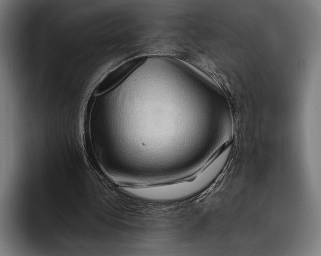 X0000092270340200710121344