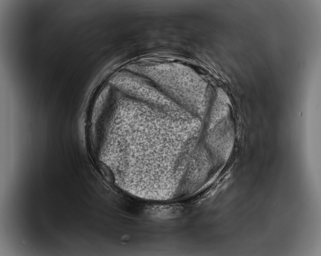 X0000092270341200710121344
