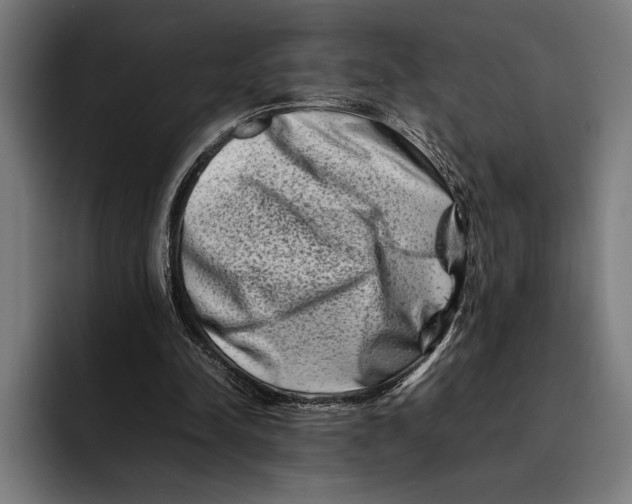 X0000092270342200710121344
