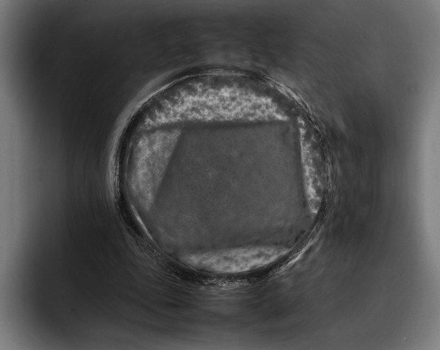 X0000092270343200710121344