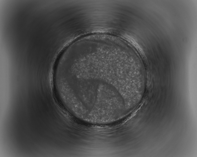 X0000092270346200710121344