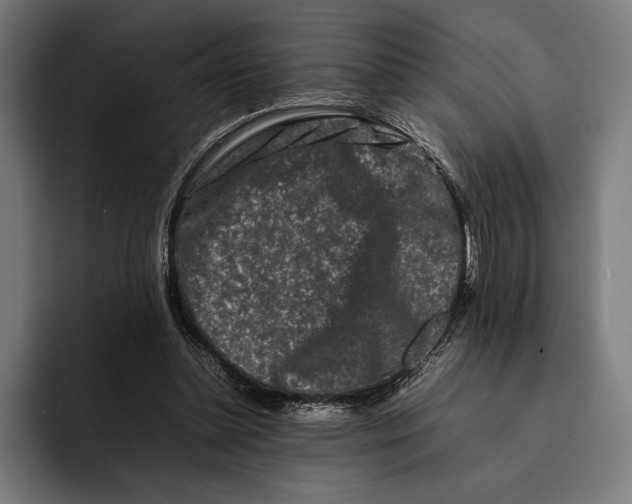 X0000092270348200710121344