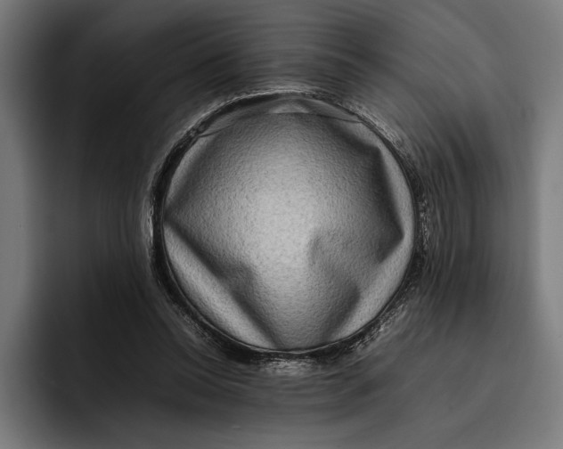 X0000092270350200710121344