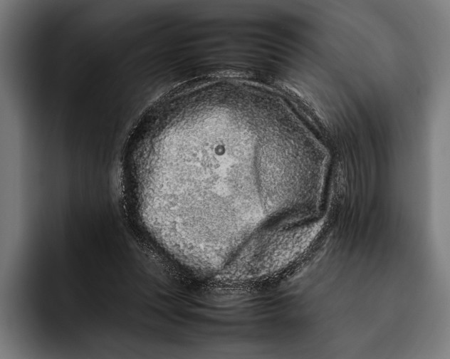 X0000092270351200710121344
