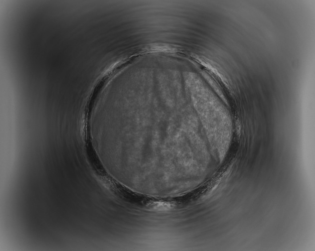 X0000092270352200710121344