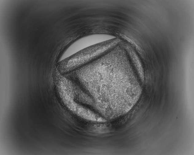X0000092270353200710121344