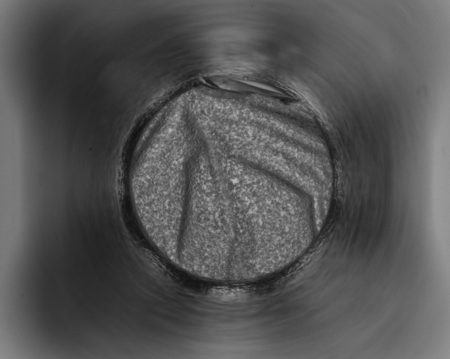 X0000092270354200710121344