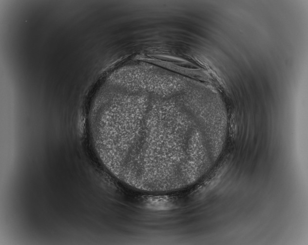 X0000092270355200710121344