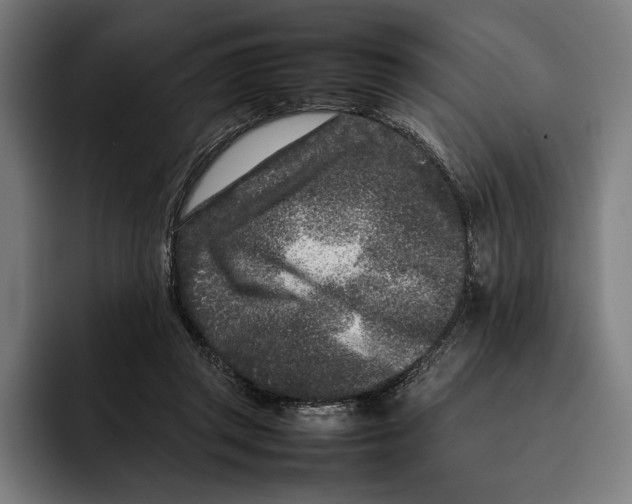 X0000092270357200710121344