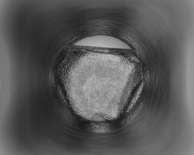 X0000092270359200710121344