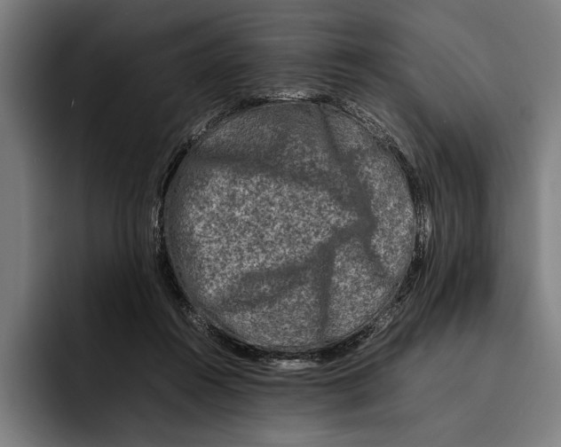 X0000092270360200710121344