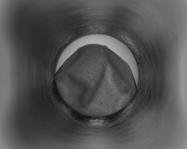 X0000092270362200710121344