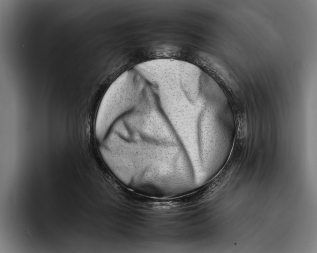 X0000092270363200710121344