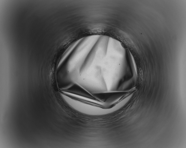 X0000092270364200710121344