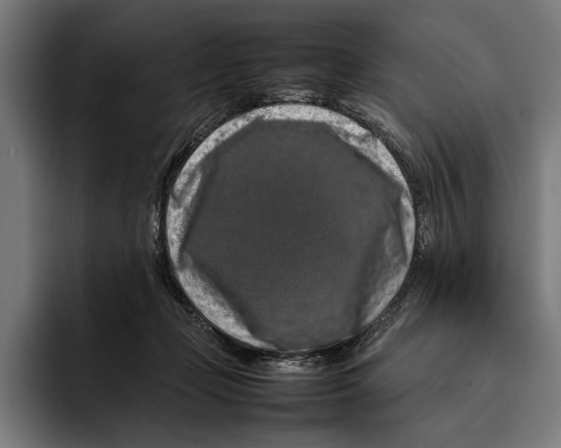 X0000092270365200710121344