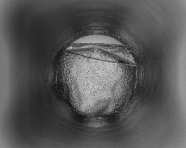 X0000092270367200710121344