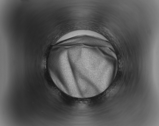 X0000092270368200710121344