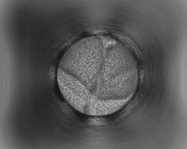 X0000092270372200710121344