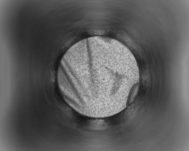 X0000092270374200710121344