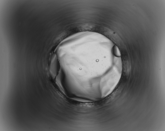 X0000092270378200710121344