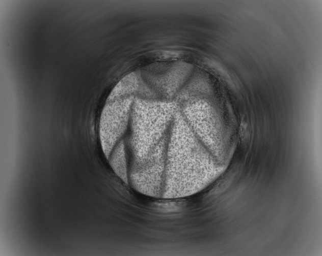 X0000092270381200710121345