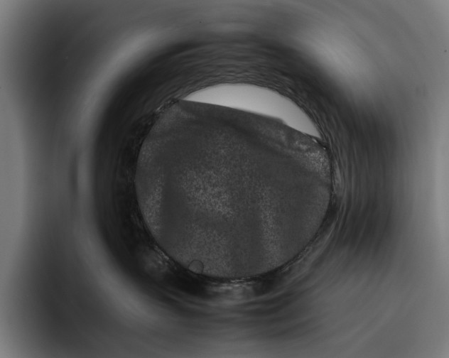 X0000092270383200710121345