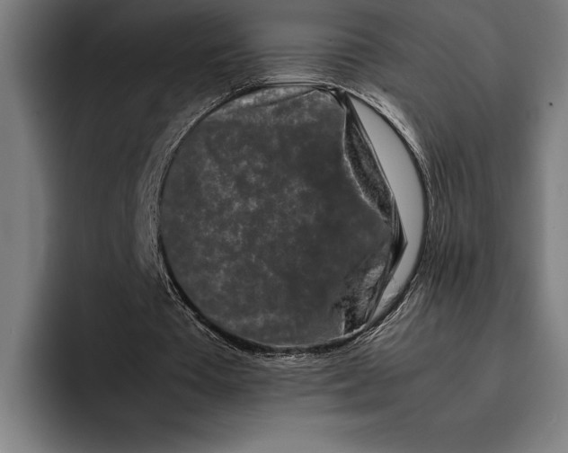 X0000092270385200710121344
