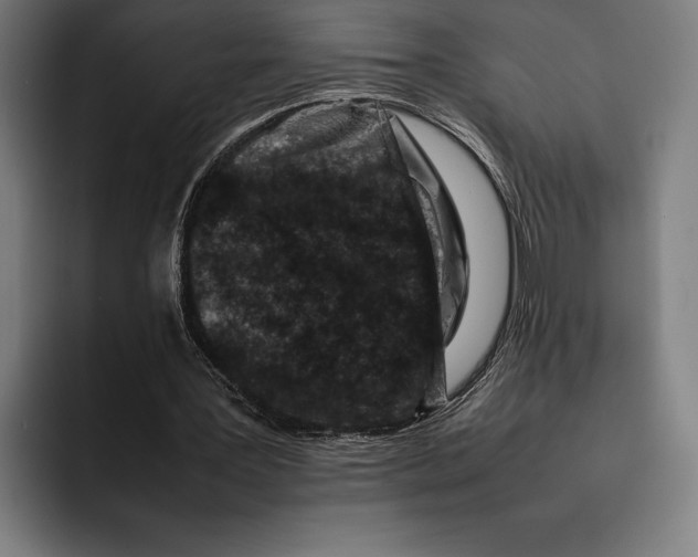 X0000092270387200710121344