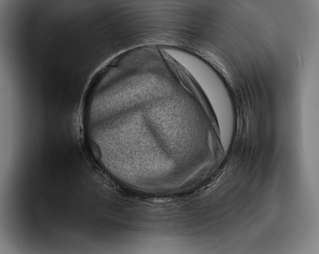 X0000092270388200710121344