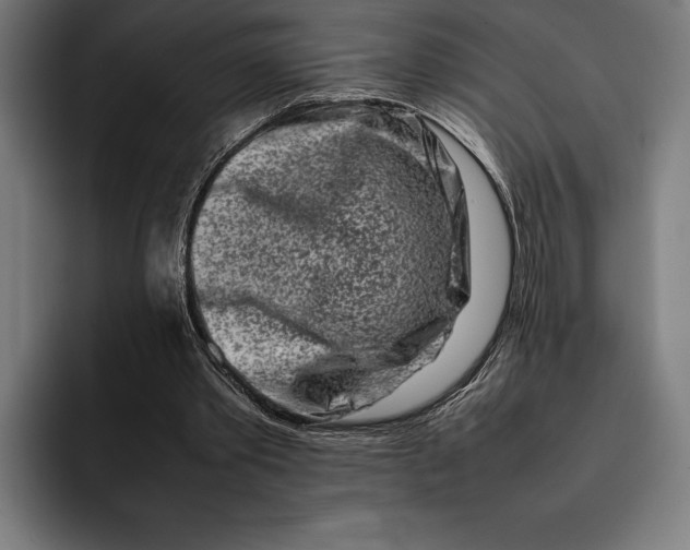 X0000092270389200710121344