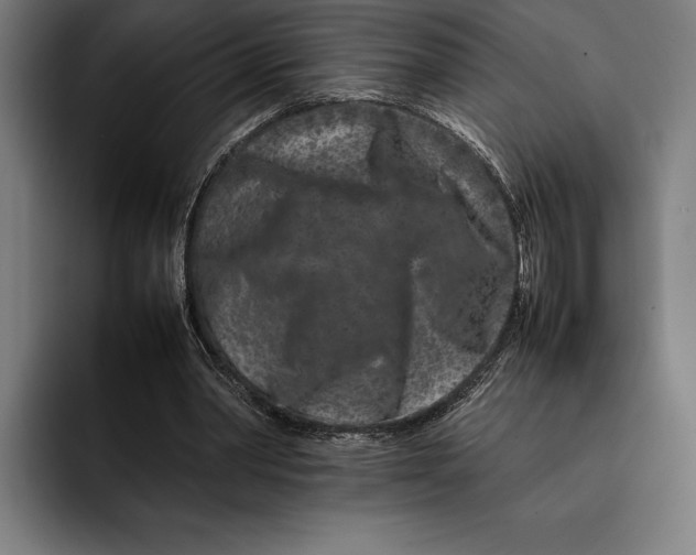 X0000092270390200710121344
