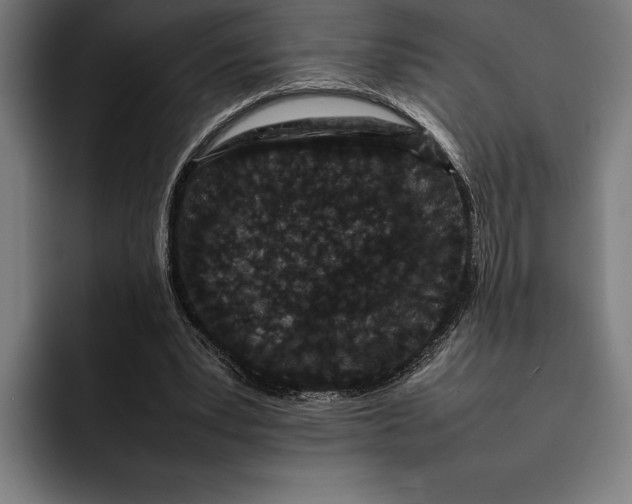 X0000092270391200710121344