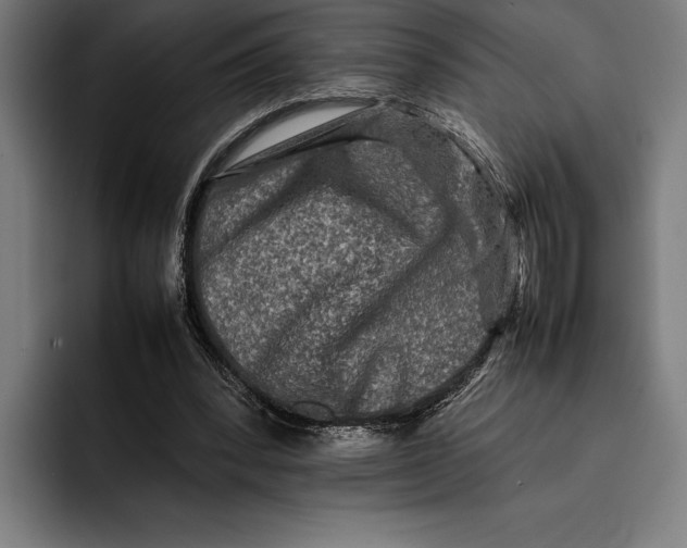 X0000092270392200710121344