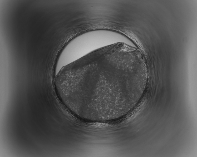 X0000092270393200710121344