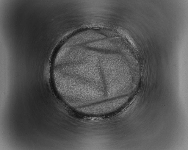 X0000092270395200710121344
